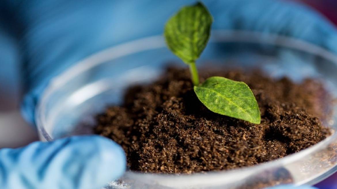 Βιολογικη Καταπολεμηση